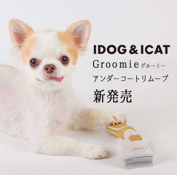 IDOG&ICATオリジナル【Groomie(グルーミー)アンダーコートリムーブ】を2024年3月6日より順次販売。換毛期に必須のケアアイテム、犬猫のブラッシング用アンダーコートケアブラシです。