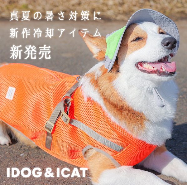 IDOG&ICATの春夏新作クーリングアイテムを2024年3月15日より順次販売。ペットの暑さ対策にオススメのウェアやネッククーラー、帽子などを取り揃えました。