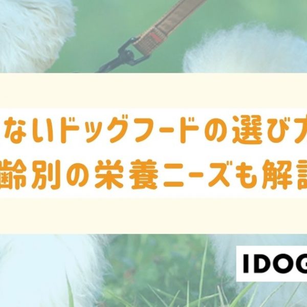 失敗しないドッグフードの選び方とは？年齢別の栄養ニーズも解説！