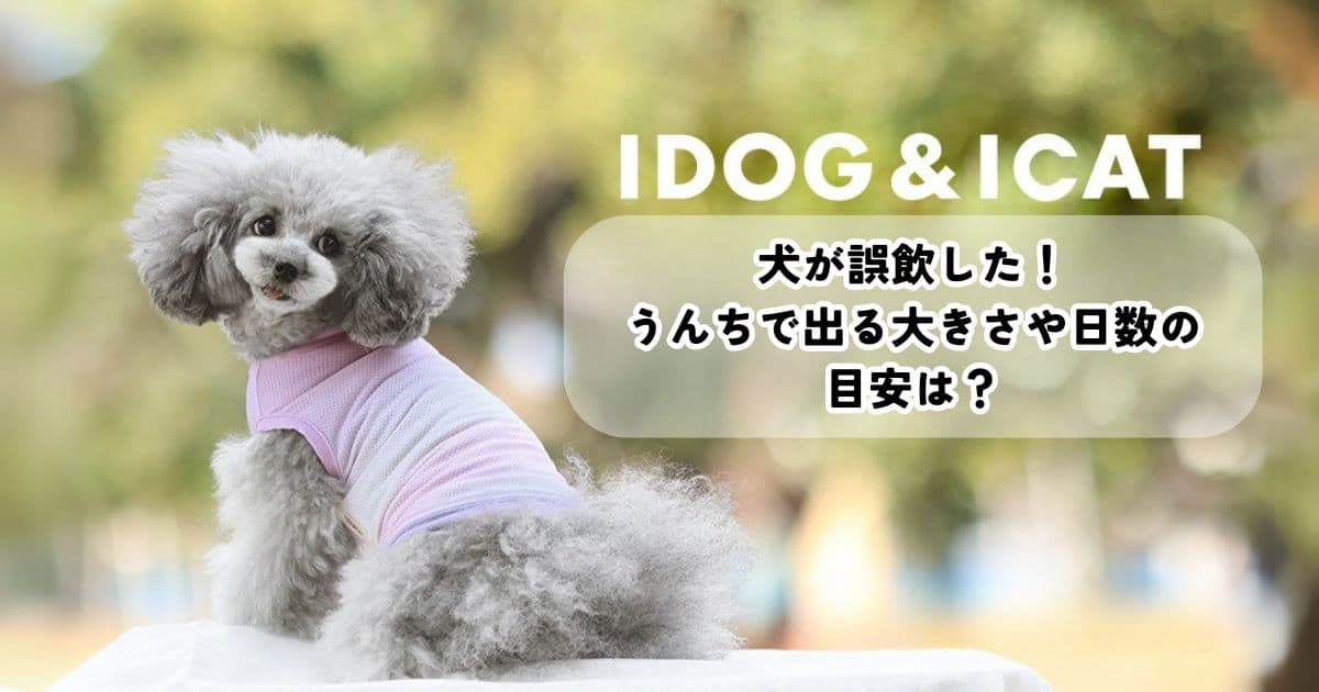 犬が誤飲した!うんちで出る大きさや日数の目安は?危険度チェックリストも