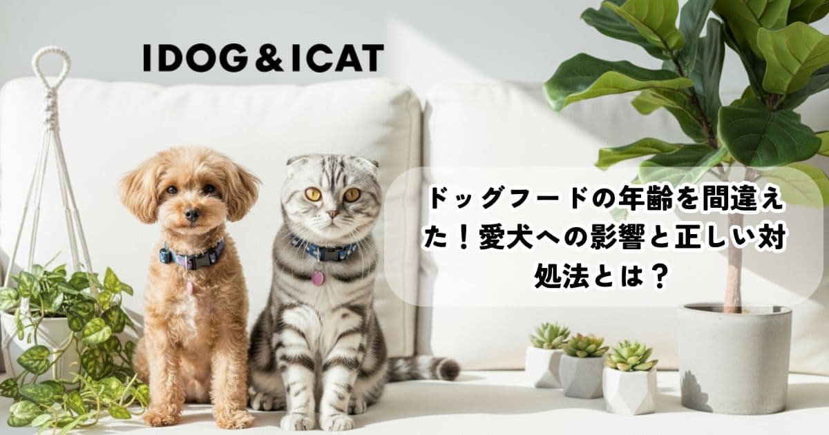 ドッグフードの年齢を間違えた!愛犬への影響と正しい対処法とは?
