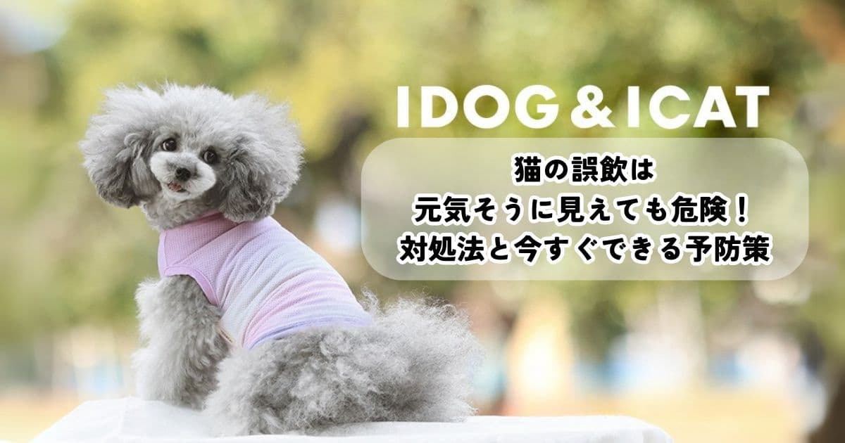 猫の誤飲は元気そうに見えても危険！対処法と今日からできる予防策は？