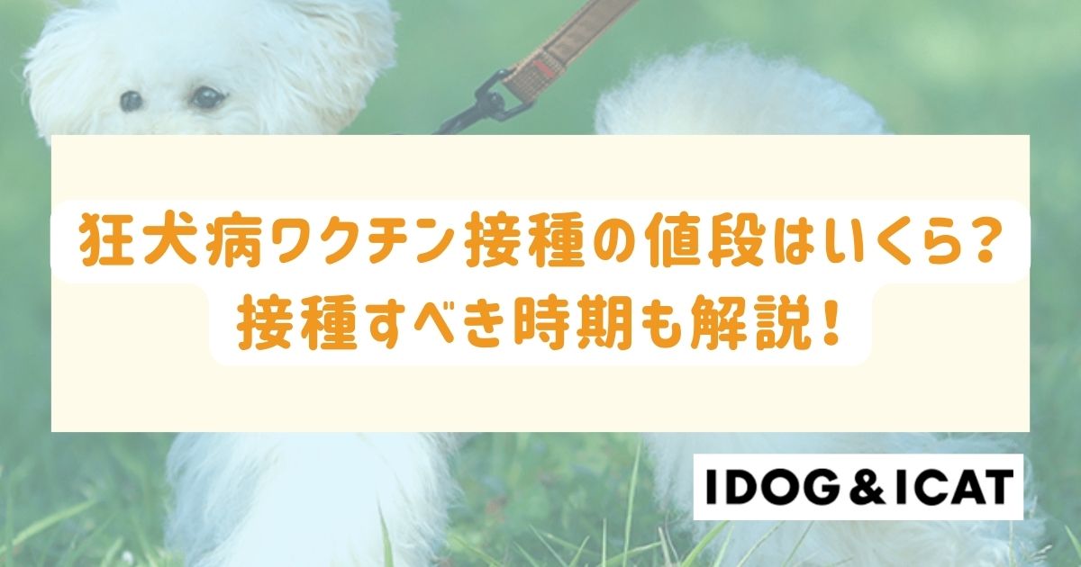狂犬病ワクチン接種の値段相場はいくら?接種すべき時期も解説!
