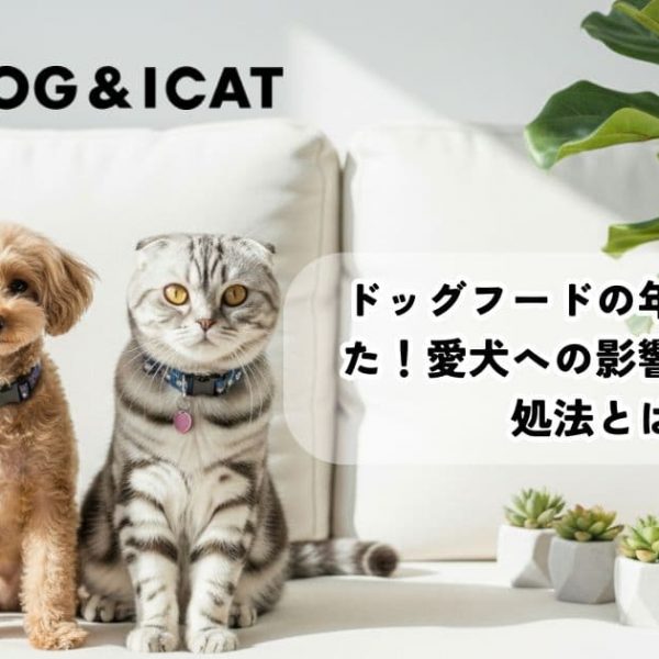 ドッグフードの年齢を間違えた！愛犬への影響と正しい対処法とは？
