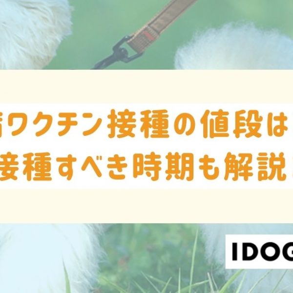 狂犬病ワクチン接種の値段相場はいくら？接種すべき時期も解説！