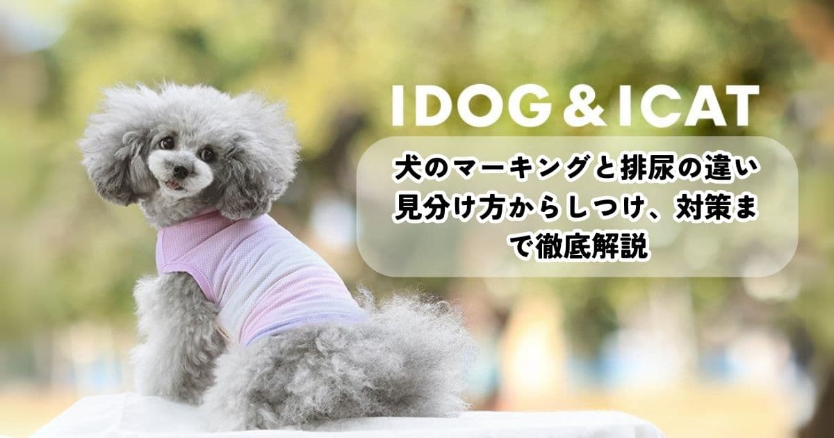 犬のマーキングと排尿の違いは？見分け方からしつけ、対策まで徹底解説