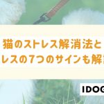 猫のストレス解消法とストレスを感じている7つのサインも解説！