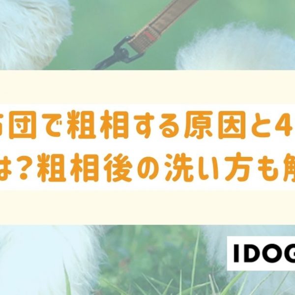 猫が布団で粗相する原因と4つの対策とは？粗相後の洗い方も解説！