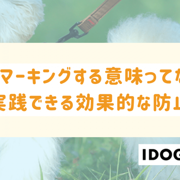 犬がマーキングする意味ってなに？すぐに実践できる効果的な防止策も！