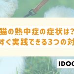 猫の熱中症の症状は？今すぐ実践できる3つの対策を徹底解説！