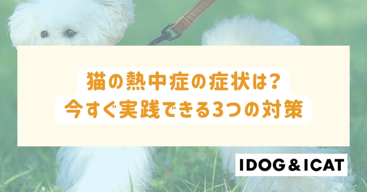 猫の熱中症の症状は?今すぐ実践できる3つの対策を徹底解説!