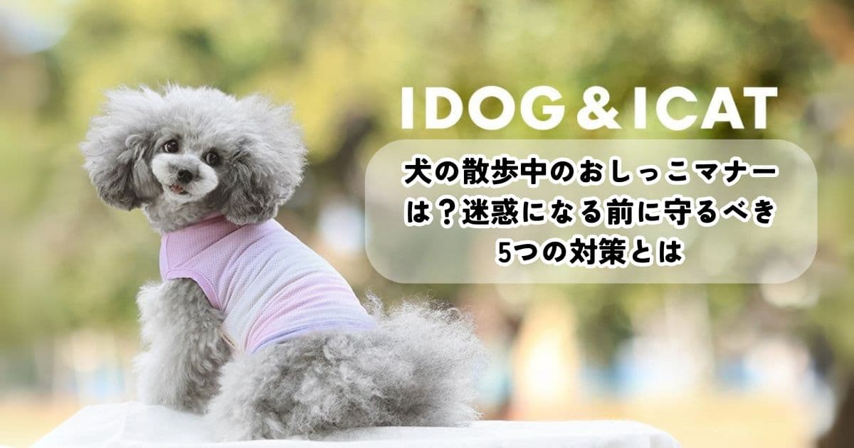 犬の散歩中のおしっこマナーは？迷惑になる前に守るべき5つの対策とは