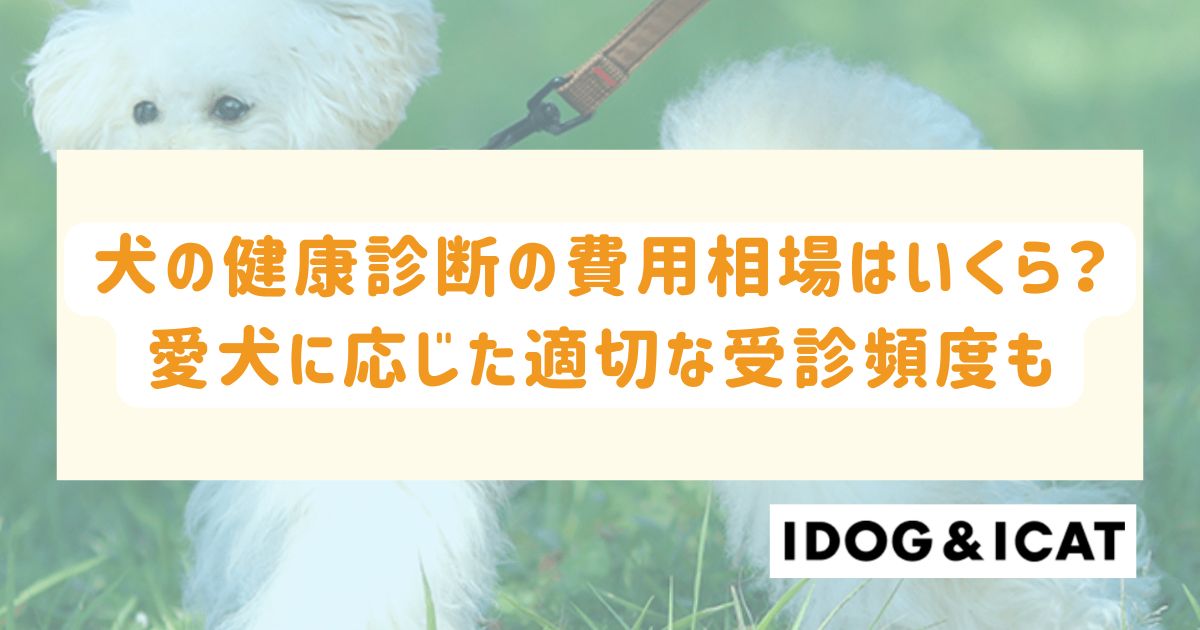 犬の健康診断の費用相場はいくら?愛犬に応じた適切な受診頻度も解説!
