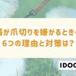 猫が爪切りを嫌がるときの6つの理由と対策は？緊急時のトラブル対処法も！