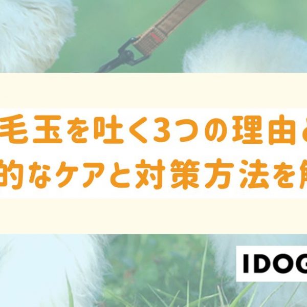 猫が毛玉を吐く3つの理由とは？効果的なケアと対策方法を徹底解説！