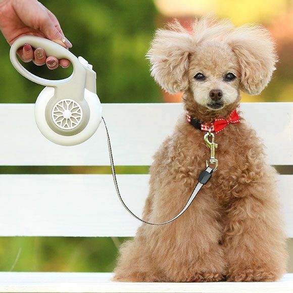 犬の散歩用伸縮リード