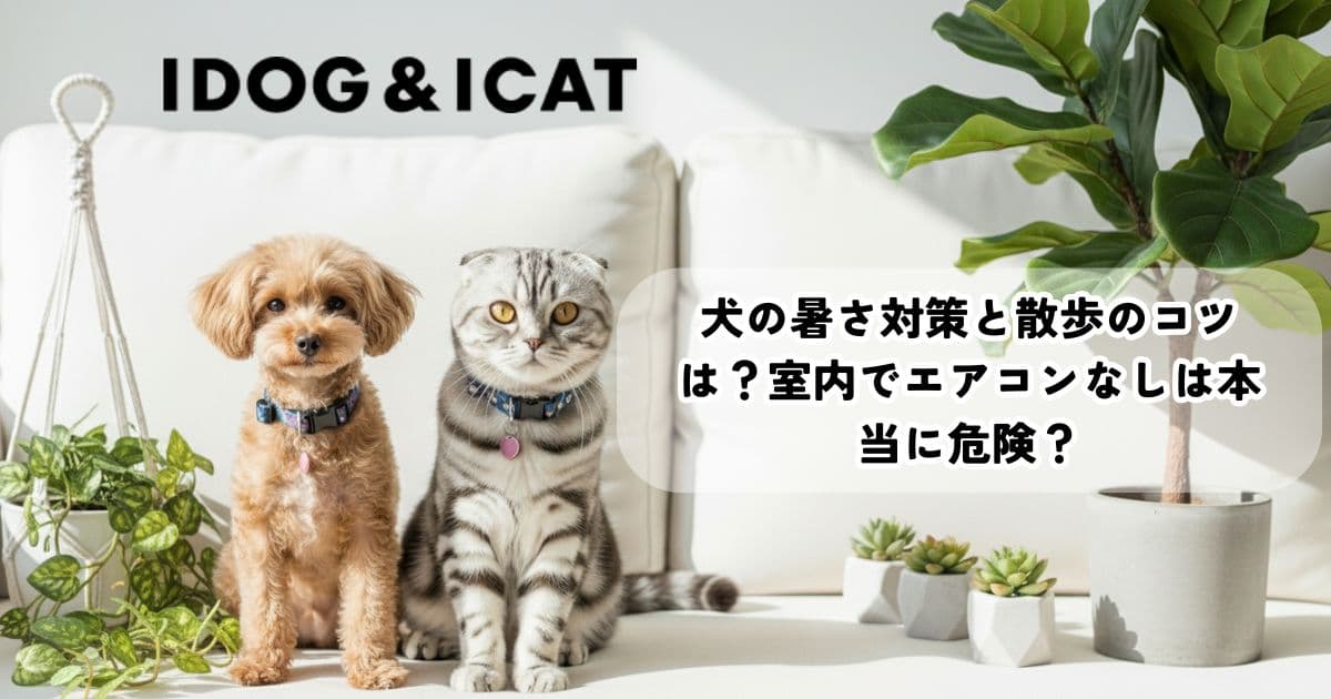 犬の暑さ対策と散歩のコツは？室内でエアコンなしは本当に危険？おすすめグッズも！