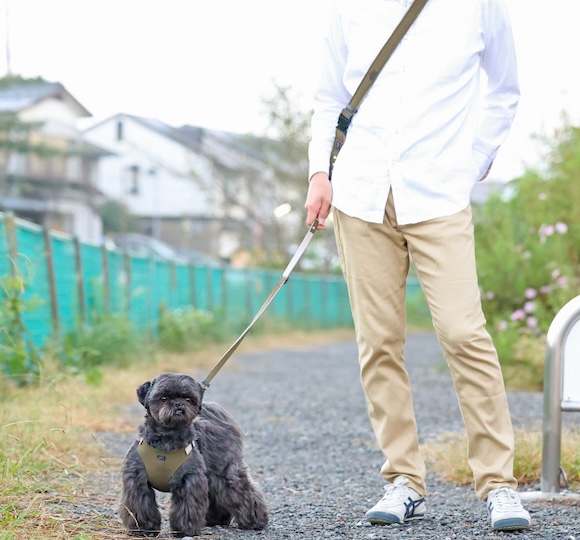 犬の散歩用ショルダーリード
