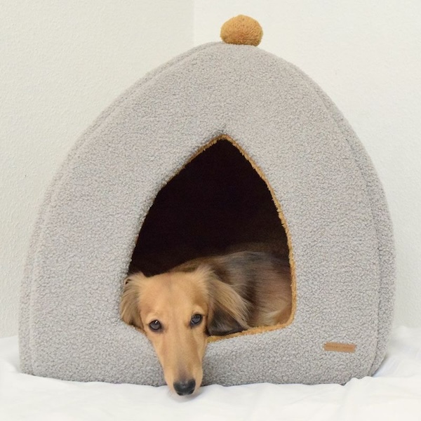 愛犬の寒さ対策用のあたたかいベッド
