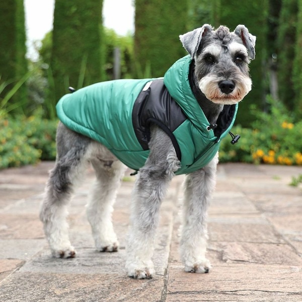 愛犬の寒さ対策ようのダウンベスト犬服
