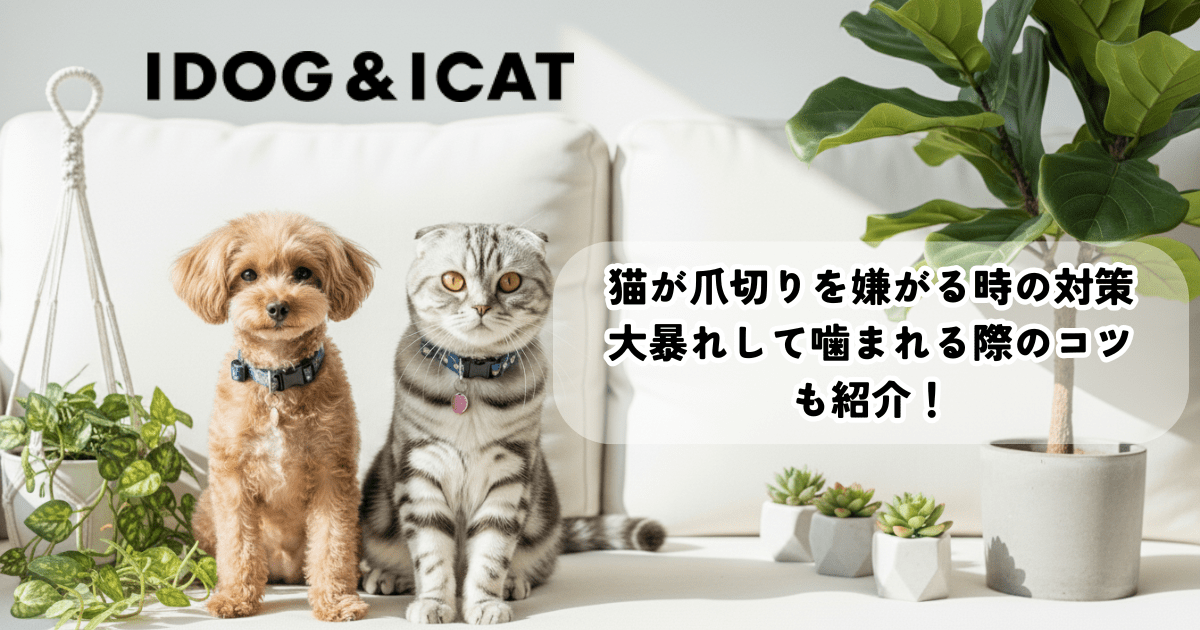 猫が爪切りを嫌がる時の対策5選!大暴れして噛まれる際のコツも紹介