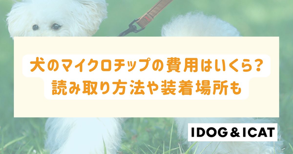 犬のマイクロチップの費用