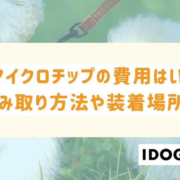 犬のマイクロチップの費用はいくら？読み取り方法や装着場所も解説！