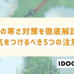 猫の寒さ対策を徹底解説！冬に気をつけるべき5つの注意点とは？