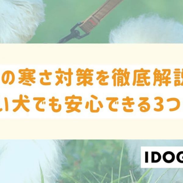 犬の寒さ対策を徹底解説！外飼い犬でも安心できる3つのコツとは？
