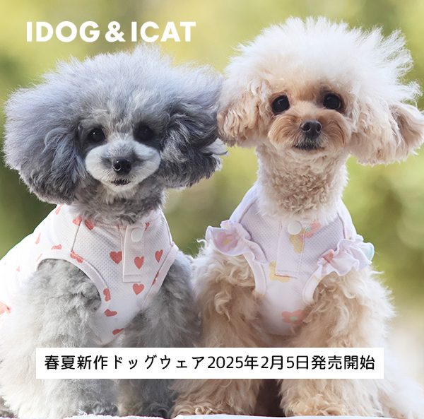 2025年2月5日よりIDOG&ICATオリジナルの春夏新作ドッグウェアを販売開始！春のお散歩やお出かけに、心躍るやわらかな色合いが可愛い新作ドッグウェアです。