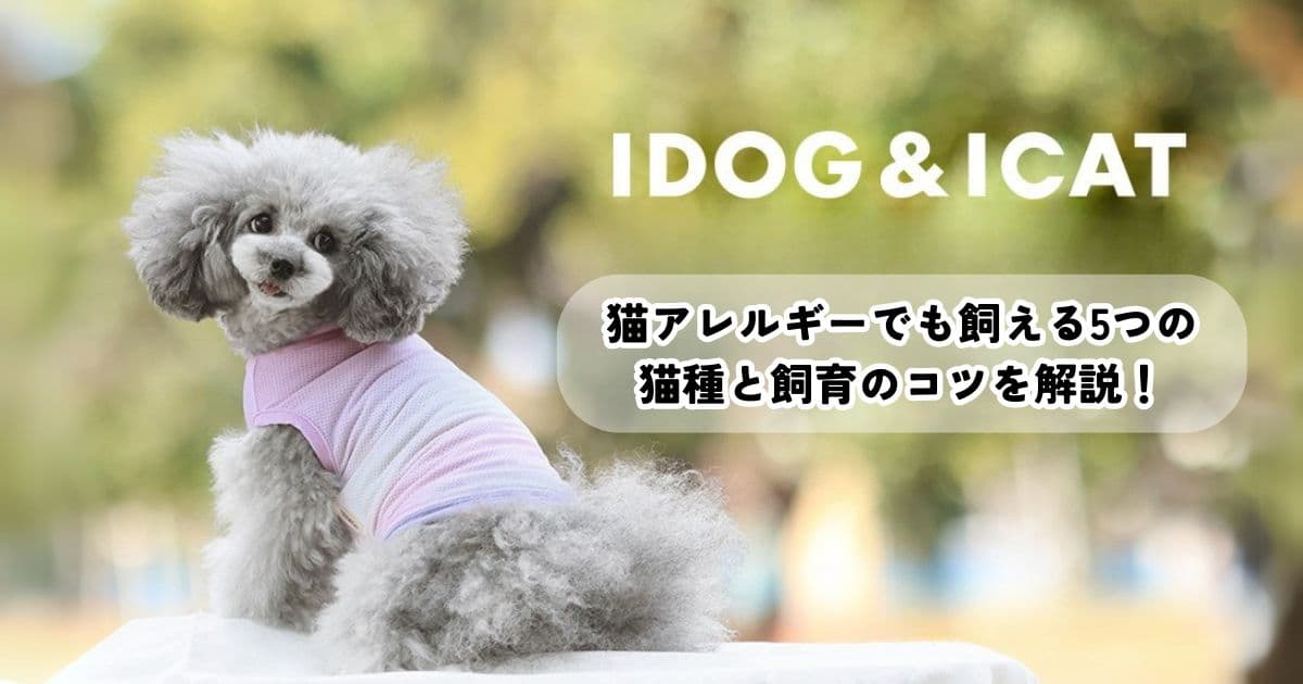 猫アレルギーでも飼える猫は？5つの猫種と飼育のコツを解説！体験談