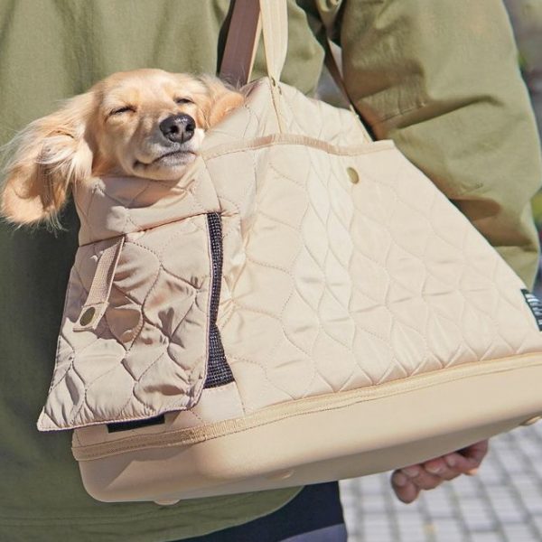 犬がキャリーバッグを嫌がる理由と慣れさせ方｜苦手を克服するコツを解説