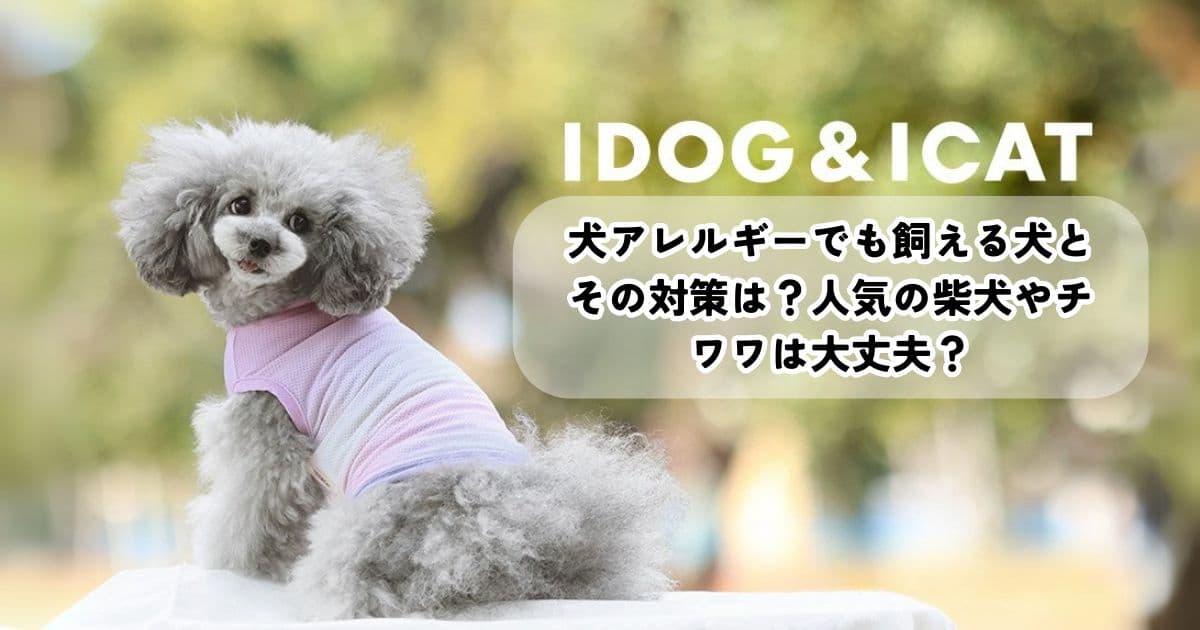 犬アレルギーでも飼える犬とその対策は？人気の柴犬やチワワは大丈夫？