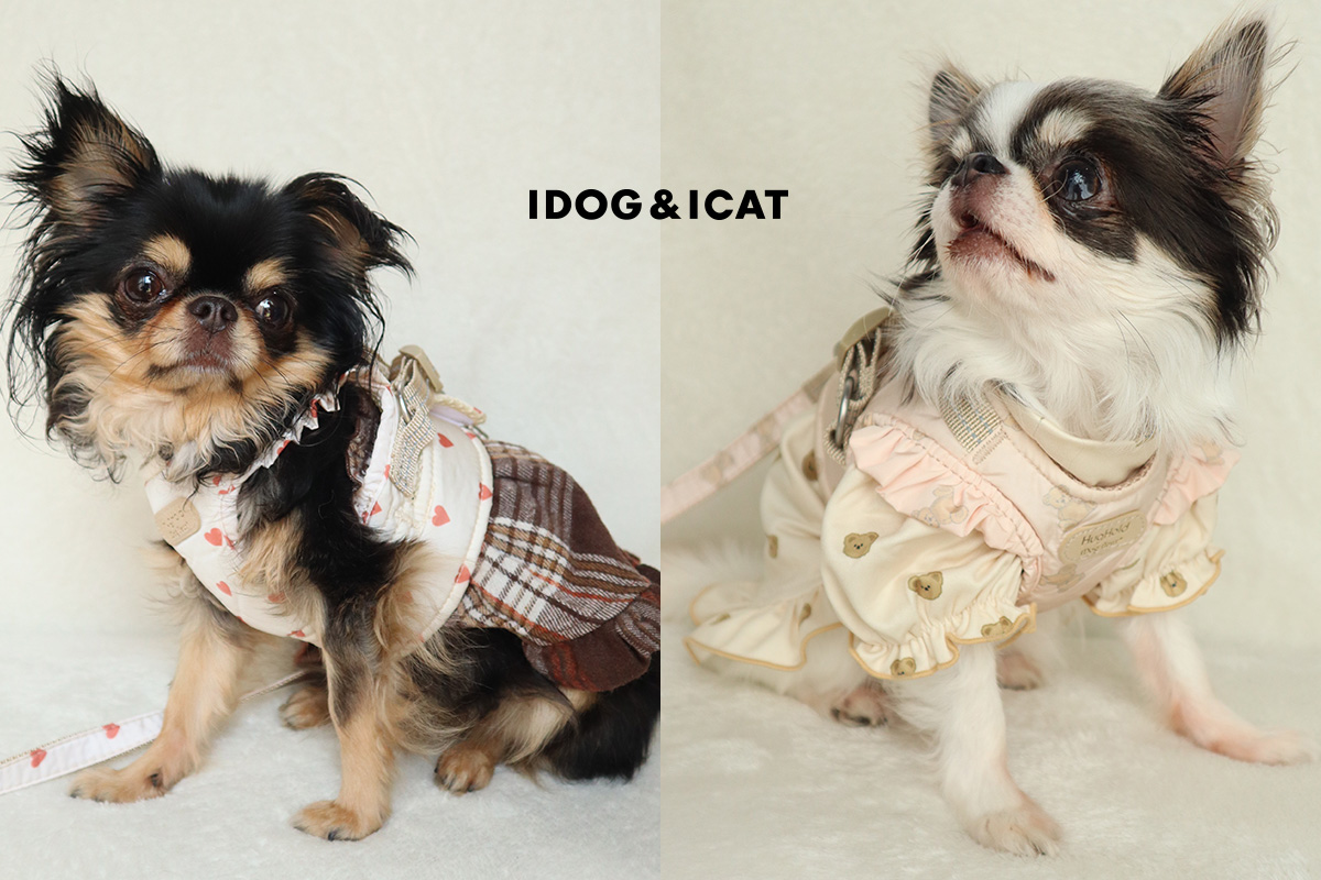 IDOG&ICATオリジナル犬用ハーネス「iDog fleur HugHold犬用