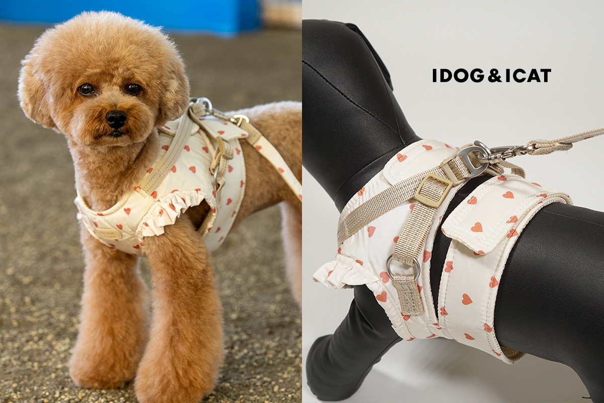 IDOG&ICATオリジナル犬用ハーネス「iDog fleur HugHold犬用