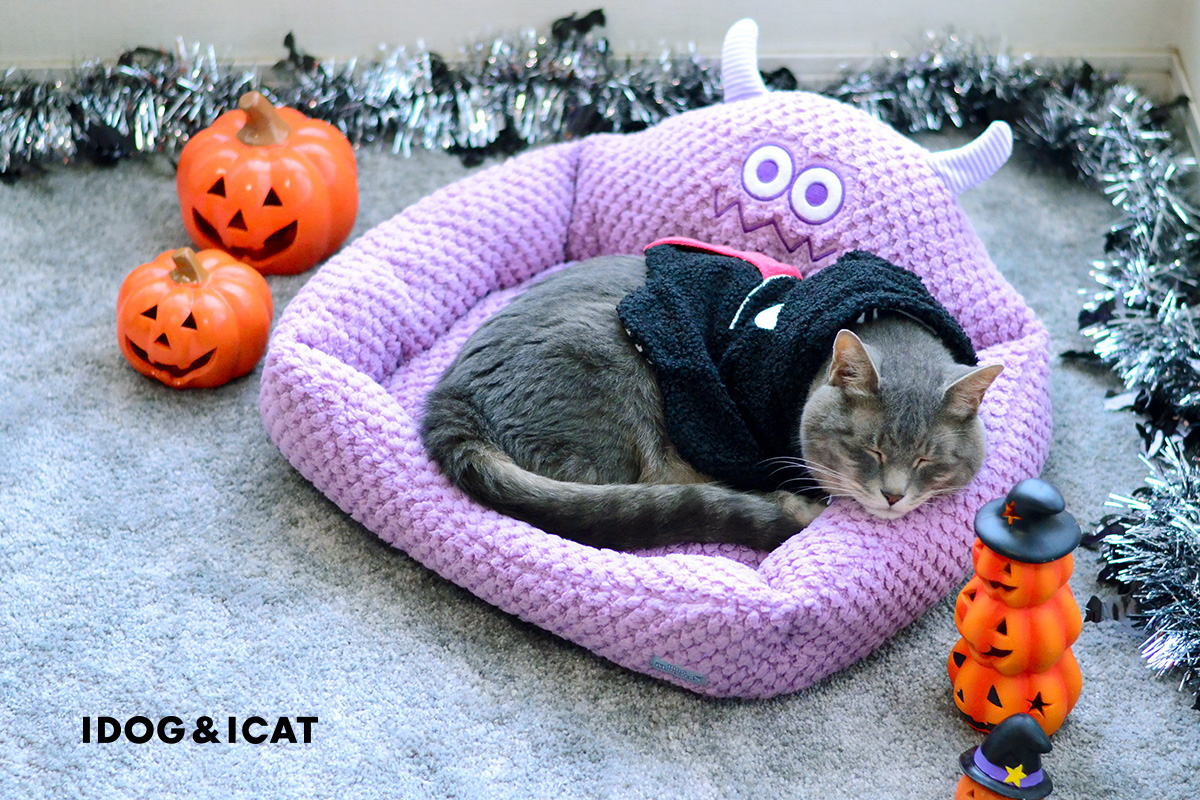IDOG&ICAT2025年秋冬コレクションより、オリジナルのハロウィン特集 