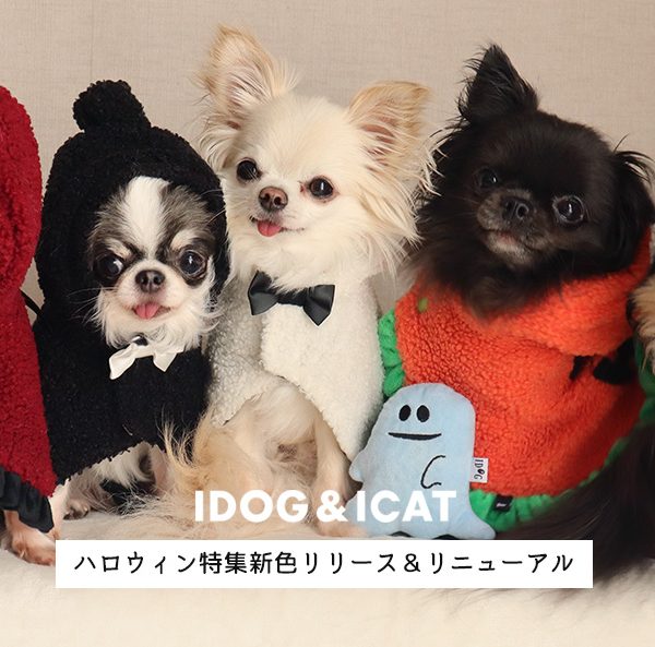 IDOG&ICAT2025年秋冬コレクションより、オリジナルのハロウィン特集！人気のアイテムが新色追加＆リニューアルでより可愛く仕上げました。
