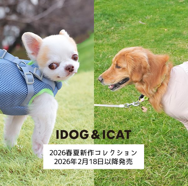 フレンチブルドッグ – IDOG&ICAT