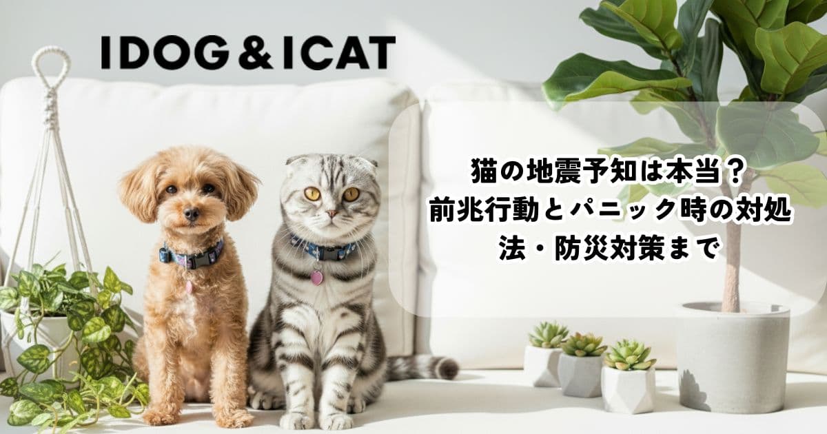 猫の地震予知についての解説記事アイキャッチ