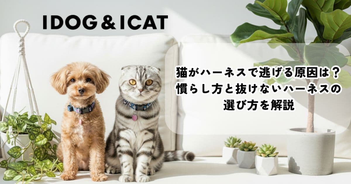 猫ハーネスで逃げる原因と対策の解説記事