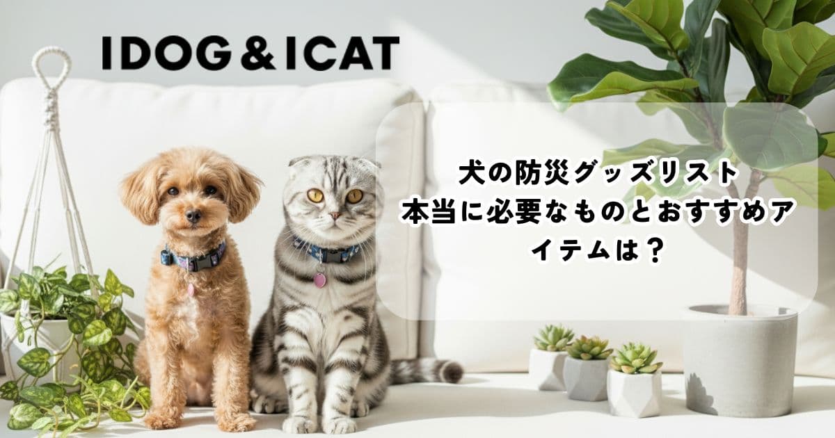 犬の防災グッズリスト記事のアイキャッチ
