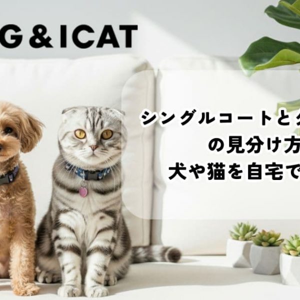 シングルコートとダブルコートの見分け方は？犬や猫を自宅でチェック