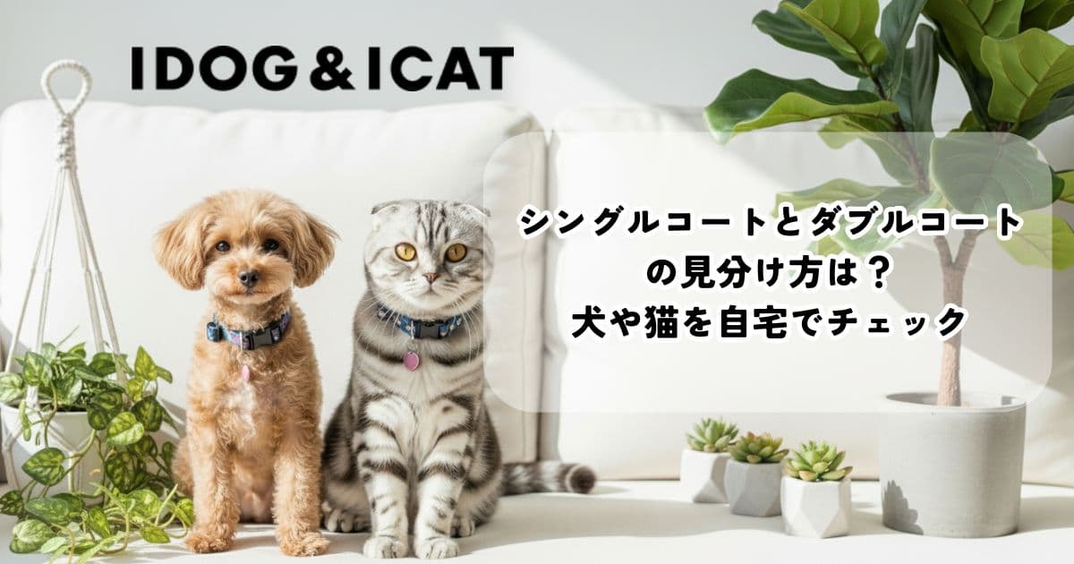 シングルコートとダブルコートの見分け方