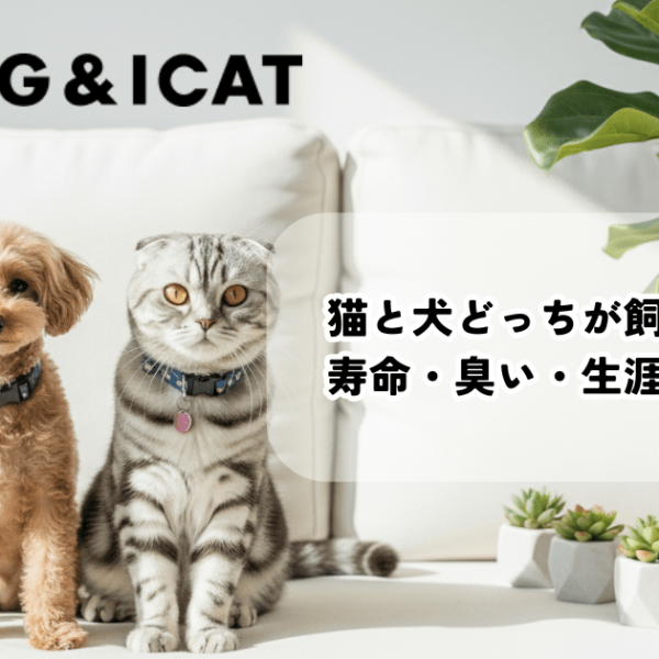 猫と犬どっちが飼いやすい？寿命・臭い・生涯かかるお金まで徹底比較