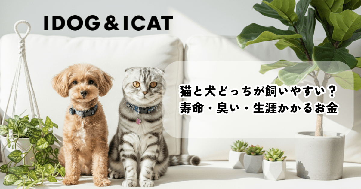 猫と犬どっちが飼いやすいか徹底比較