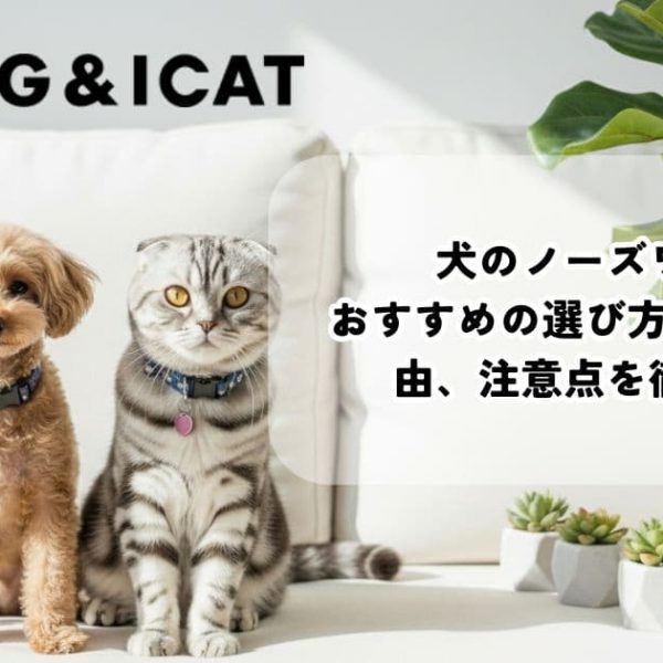 犬のノーズワーク｜おすすめの選び方と疲れる理由、注意点を徹底解説