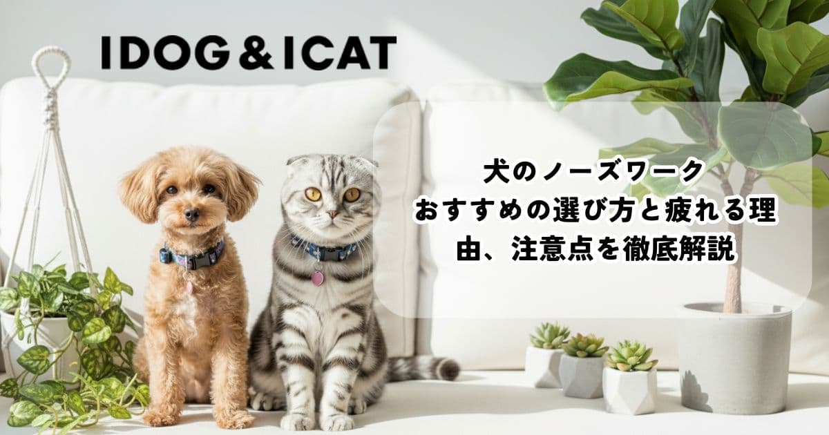 犬のノーズワークおすすめを解説する記事