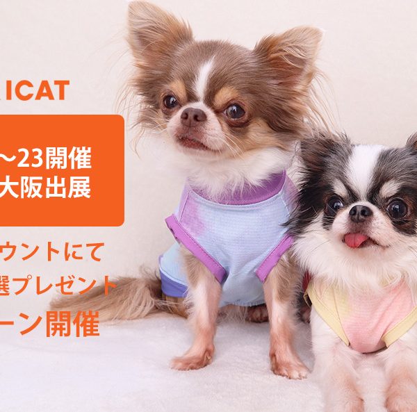 IDOG&ICAT「Pet博2026大阪」出展記念！無料入場ペアチケットが当たるInstagramフォロー＆アンケートキャンペーンを開催