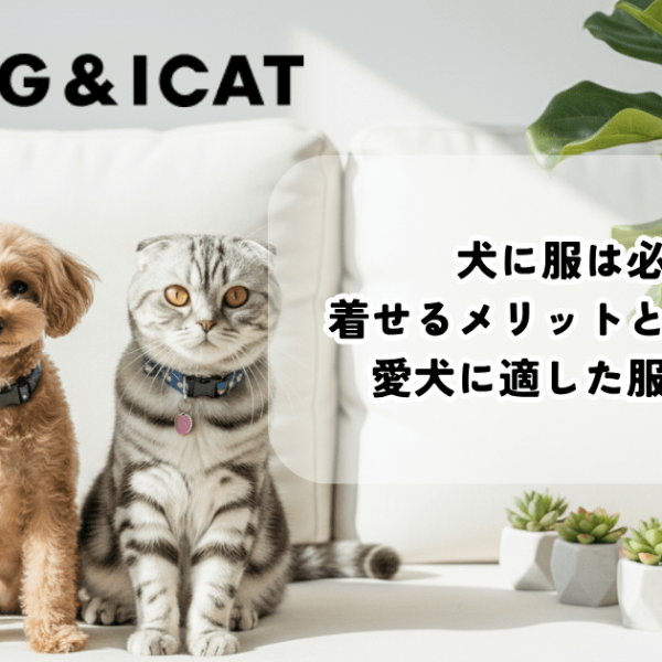 犬に服は必要？着せるメリットとデメリット、愛犬に適した服の選び方