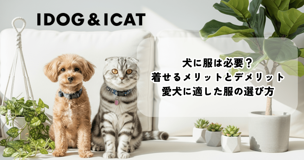 犬に服は必要かを解説する記事のアイキャッチ画像